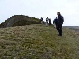 On Coed Hyrddyn