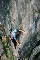Roy seconding