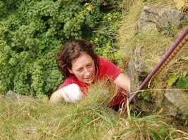 Fi in the undergrowth