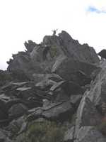Cyfrwy Arete, The Top