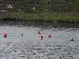 Llyn Perfeddau