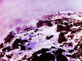 By Simon Robertshaw By Simon Robertshaw