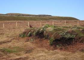 These are Grouse moors  [Dave Bone]