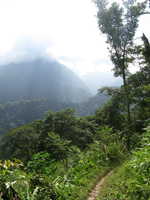 Day 2: Mountains and Path