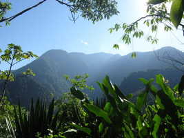 Day 2: View out of Jungle