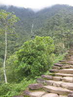 Day 3: Steps and Waterfall