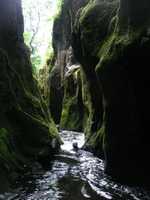 Deep in the gorge