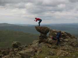 Midge diving