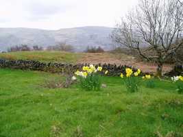 Spring at Ty Powder