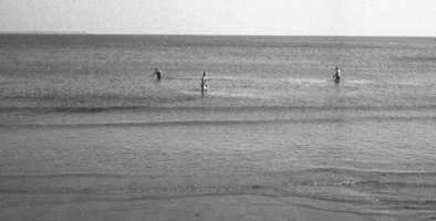 Sea Frizby