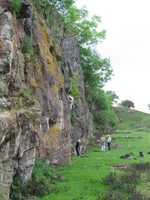 The Quarry