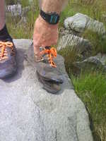 Roy's shoes