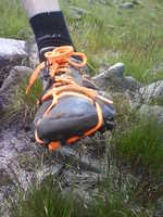Roy's bandaged shoe