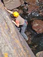 Midge at St Non's Bay