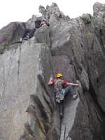 Midge on Diagonal Crack, Porth Clais