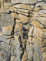 Dave Bish at Sennen