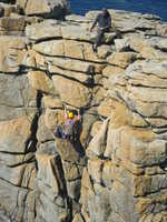 Midge at Sennen