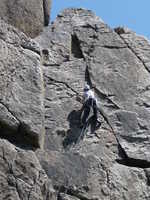 Sheena on Niche Wall