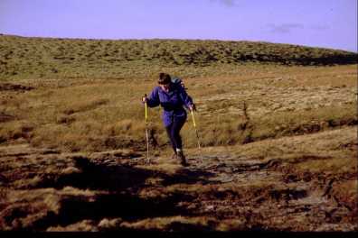 Linda bog-trotting