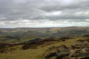 The View