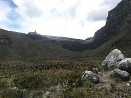 Pan de Azucar and the valley of Frailejones