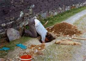 Wavey Dave looking for Alan