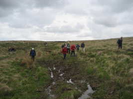 Bog