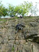 Steve seconding Witches Favourite