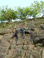 Matt seconding Witches Favourite