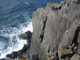 Andrew on Gannet Crack