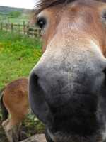 You smell....great