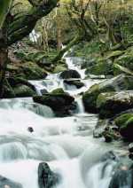 Padarn Country Park