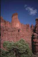 Tower