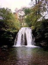 Janets Foss