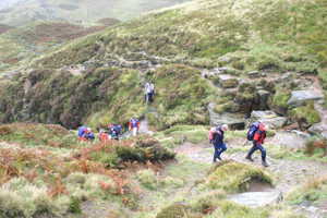 The walk in
