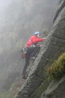 Wavey