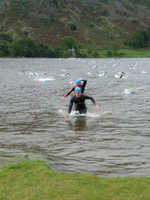 The Swim