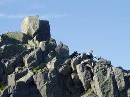 Tryfan Summit