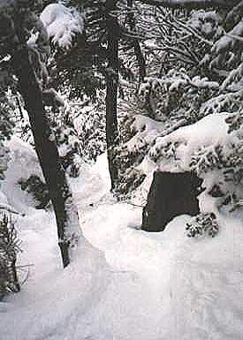 Picture Home Page