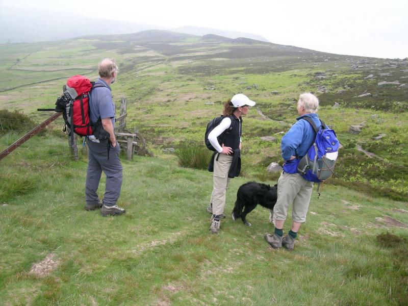Picture Home Page