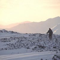 Dave L. looking for the pub (Andrew Croughton)