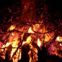 Crackle! (Alex Krause)