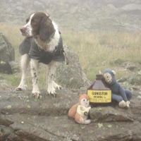 Animals Enjoying The Beer (Richard Yorke)