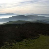 Misty Hills (Virginia Castick)