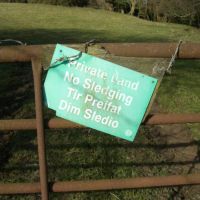 No Sledging! (Virginia Castick)