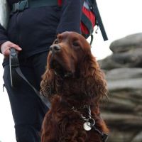 Harvey (Andrew Croughton)