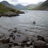 Midge Swimming (again) (Virginia Castick)