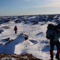 On Kinder Scout (James Hoyle)