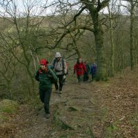 Woodland Path (Andrew Croughton)