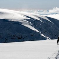 Day 7: Graham crossing Aonach Mor towards Aonach Beag. (Sean Kelly)
